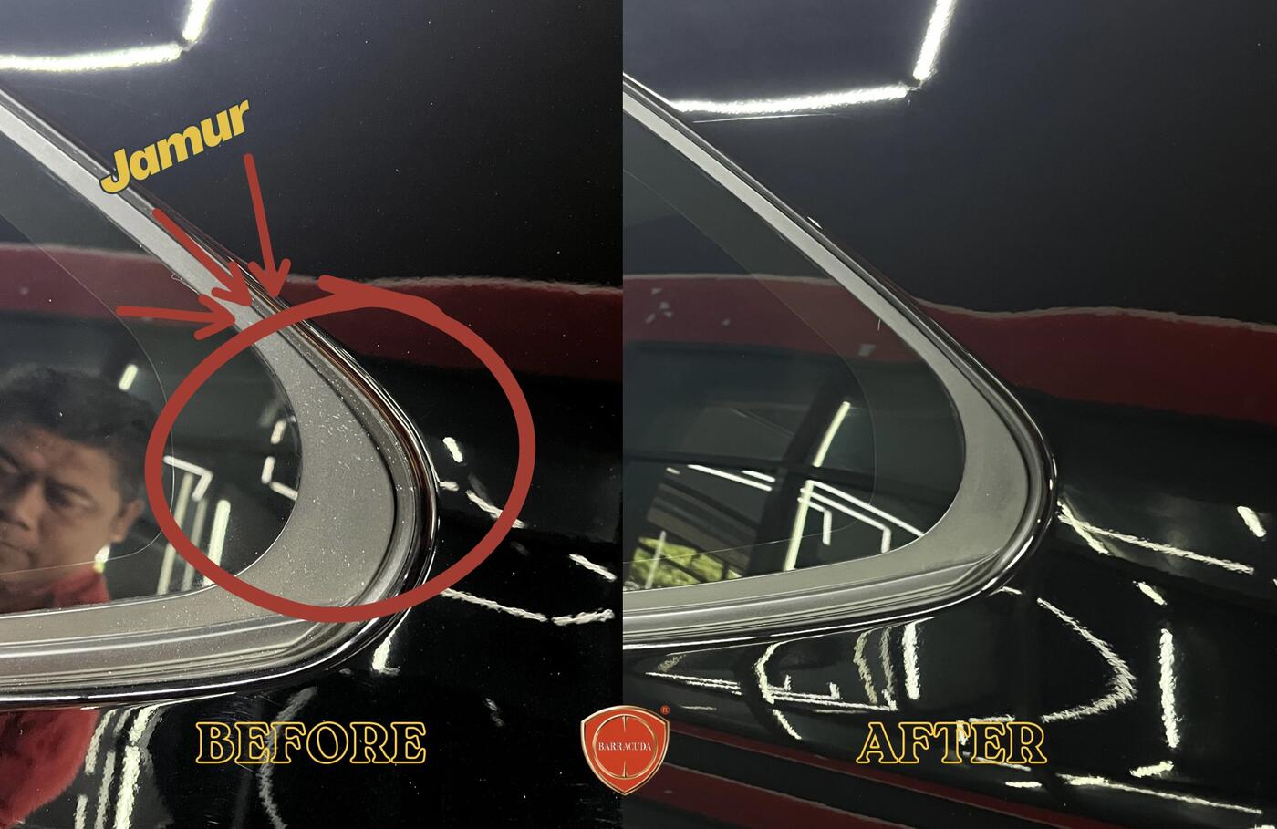 Before after hasil paint protection mengatasi jamur pada kaca mobil